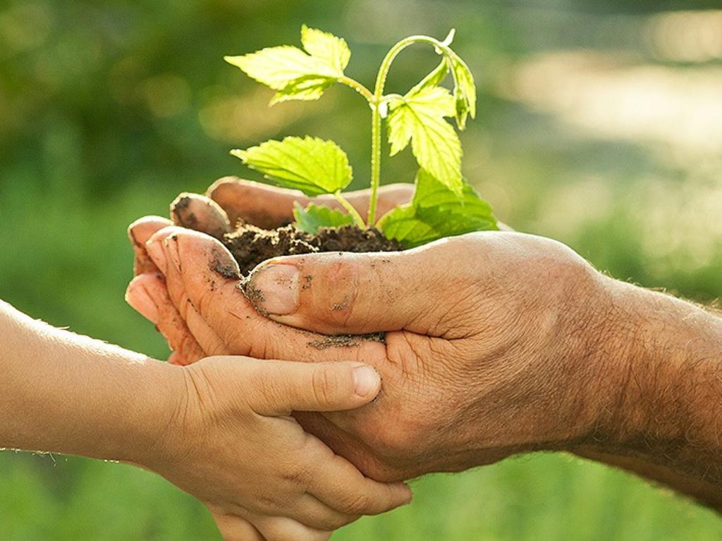 Biobased products - for more sustainability