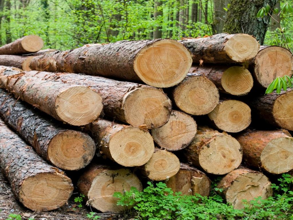 Biodegradable in Soil