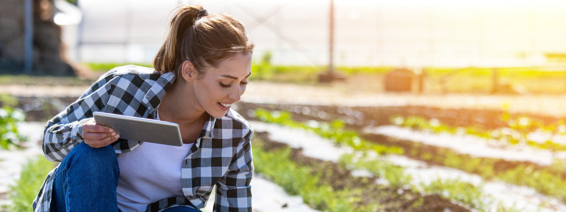 Biodegradable mulch films and materials made from bio-plastics: we guide you through certification | DIN CERTCO