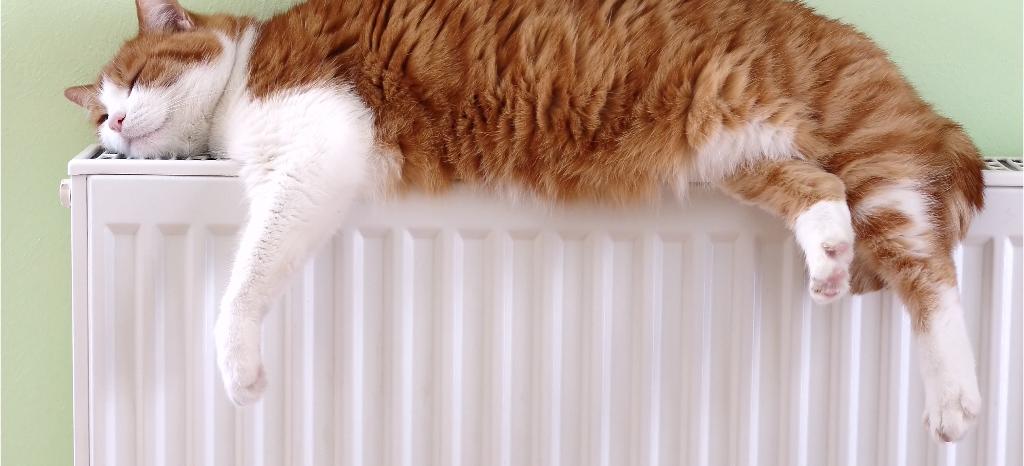 Radiators and Convectors