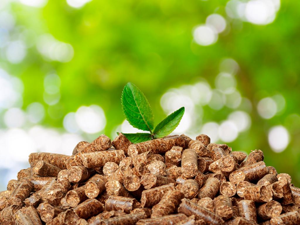 Holzpellets für Heizkessel