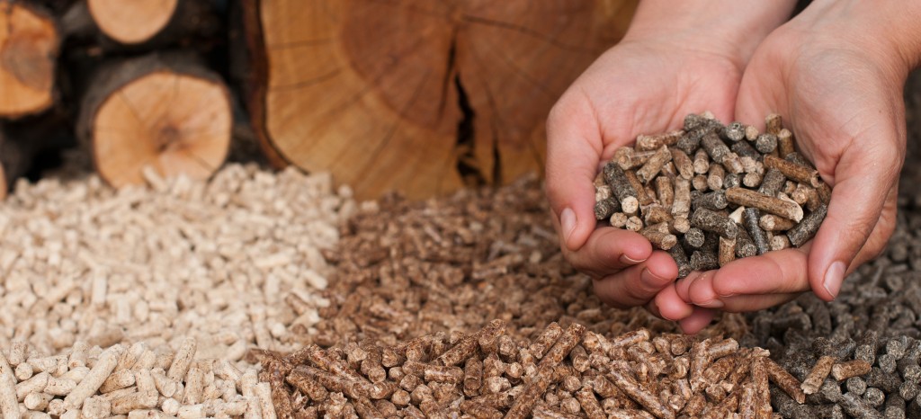 Pellets Klasse A und B aus Holzalternativen, Stroh, Bambus, Kaffee, Reis, Grasschnitt | TÜV Rheinland