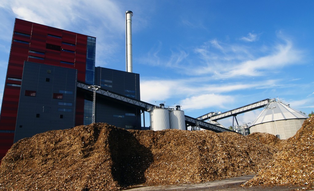 Anforderungen an Holzpellets für die Zertifizierung nach DIN plus