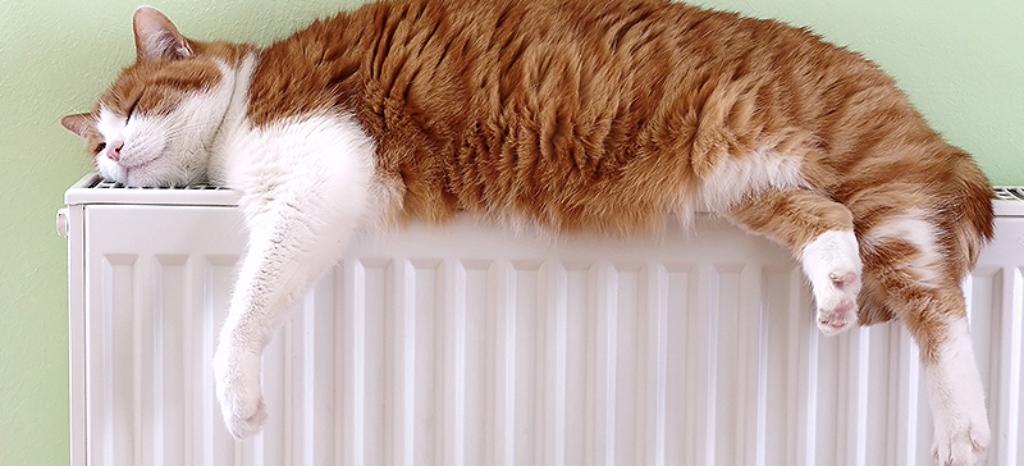 RADMAC - Radiator Quality for Europe