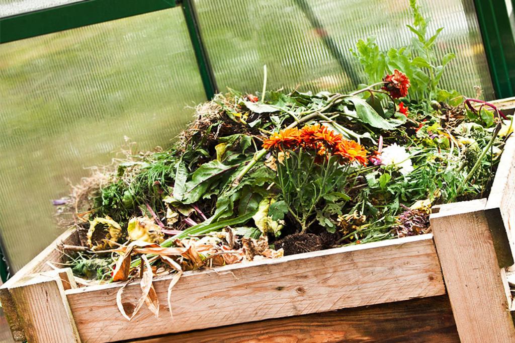 Products made of compostable materials