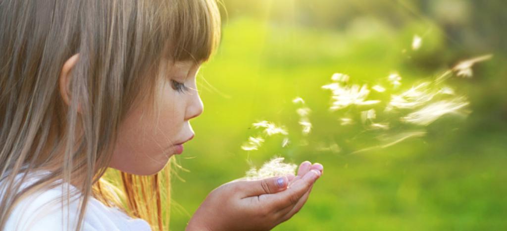 Products made from Recycled Materials